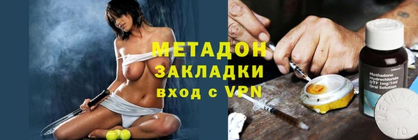 индика Алзамай