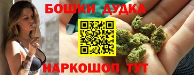 сатива Канаш