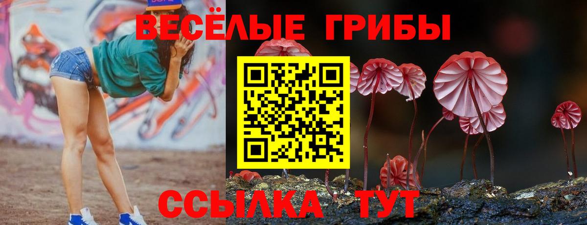 Псилоцибиновые грибы ЛСД  Вход с VPN  Кызыл 